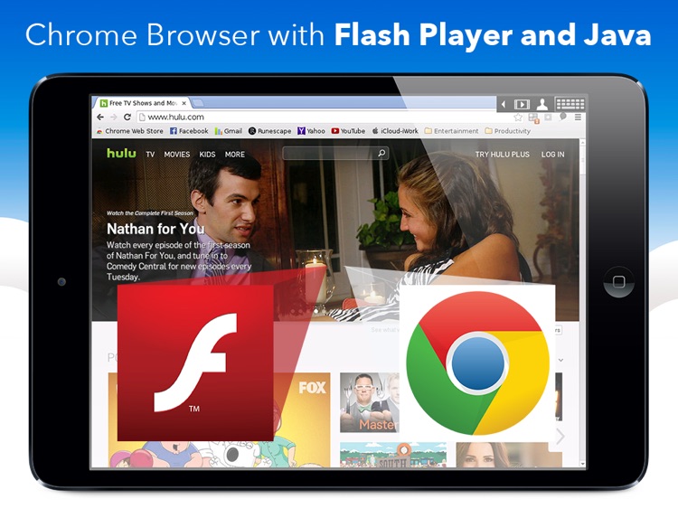 java browser with flash player