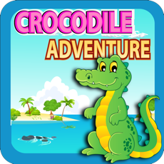 Activities of Crocodile Adventure