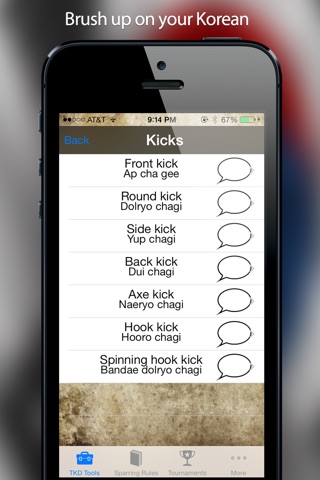 The Taekwondo Toolkit! screenshot 2