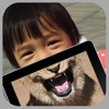 Animal body with me free -  capture funny photo for Instagram