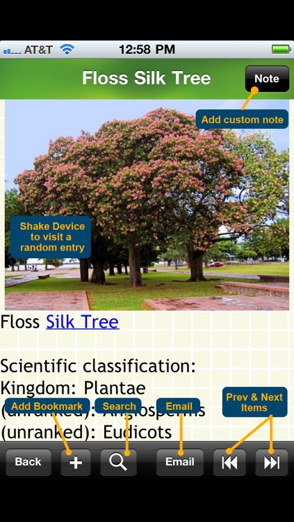 The Tree Encyclopedia screenshot-4