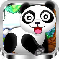 Tik Tok Panda ne fonctionne pas? problème ou bug?