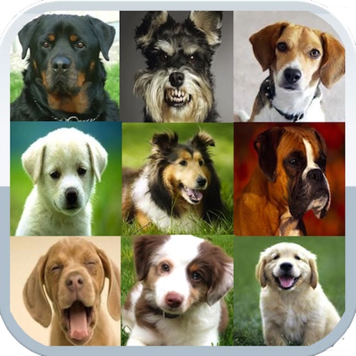 Dog Matcher iOS App