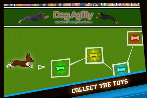 Dog Agility Obstacles Dressage Race Contest - Free Edition screenshot 4