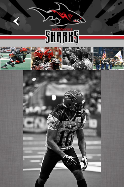 Jax Sharks screenshot-3