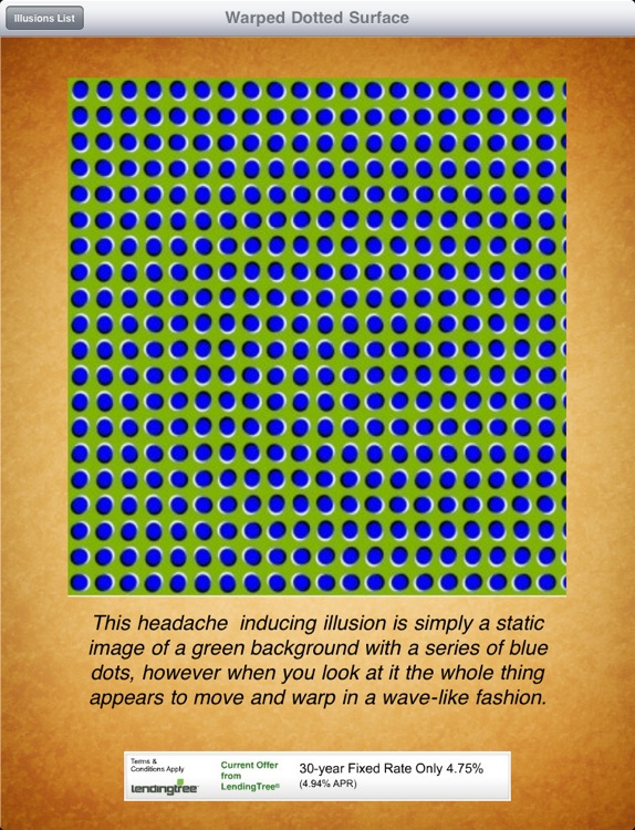 Optical Illusions! iPad Edition