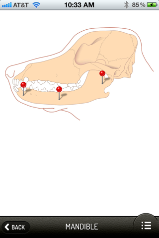 Small Animal Fracture Management screenshot 3