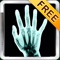 X-Ray Scan + Free