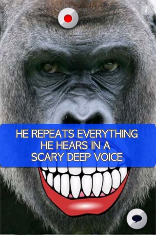 A Talking  Angry Gorilla for iPhone screenshot 3