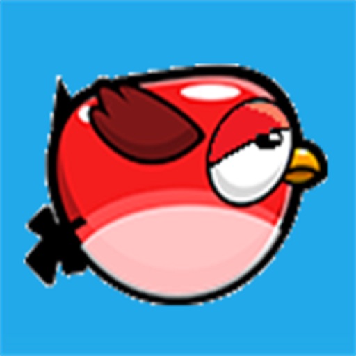 Flappy Finch iOS App