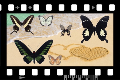 ButterFly® FREE screenshot 2