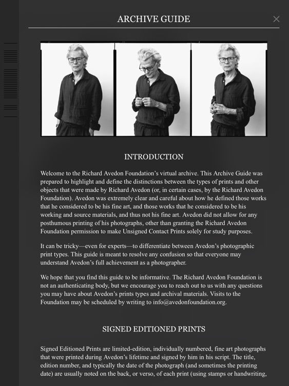 Avedon screenshot-4