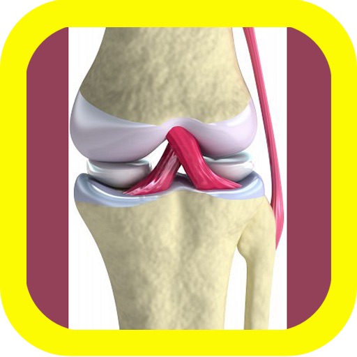 VISUAL: Muscle & Skeletal Anatomy iOS App