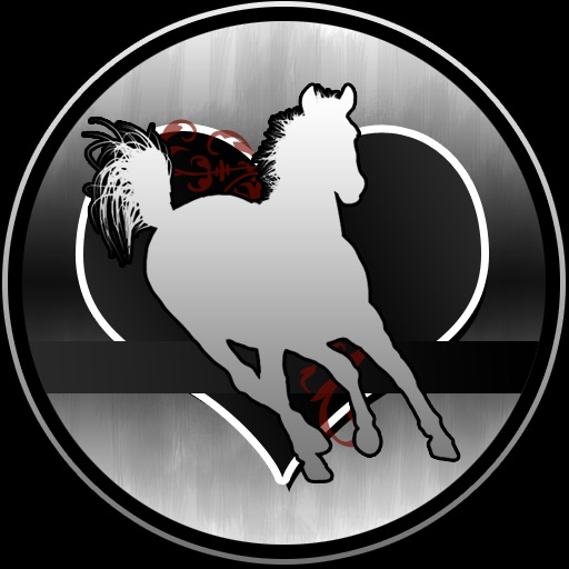 Horse Memory vip icon