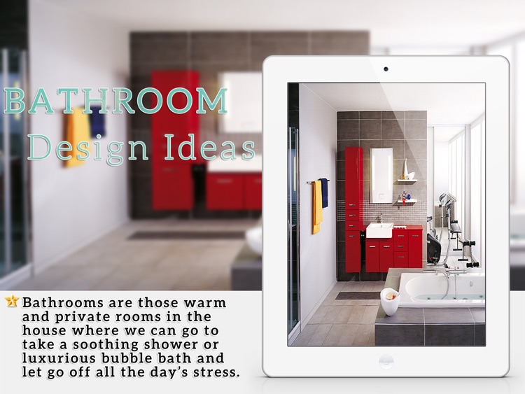 Stunning Bathroom Design Ideas for iPad