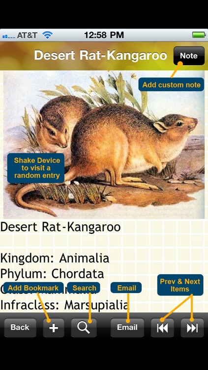 Encyclopedia of Extinct Animals screenshot-4