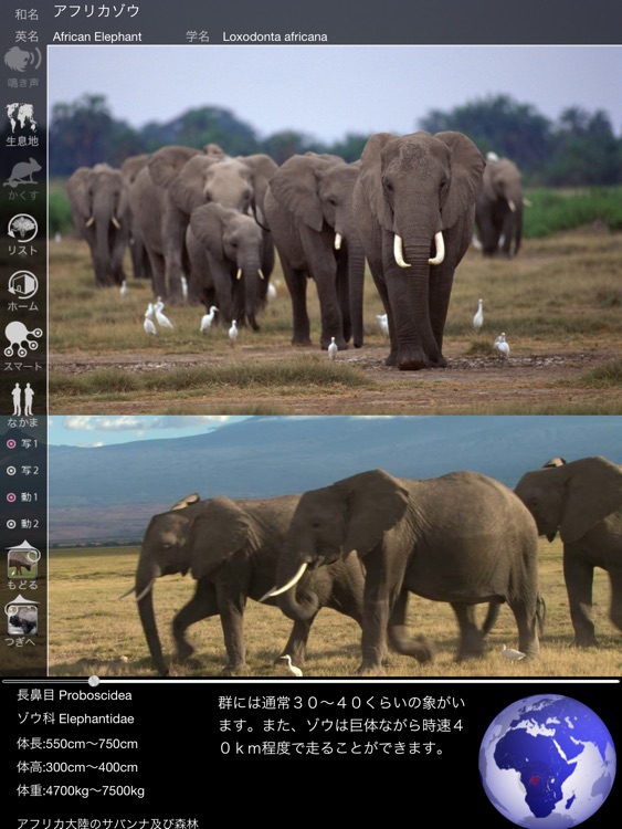 Animal Life for Japan screenshot-4