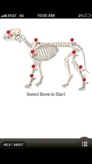 Small Animal Fracture Management(圖2)-速報App