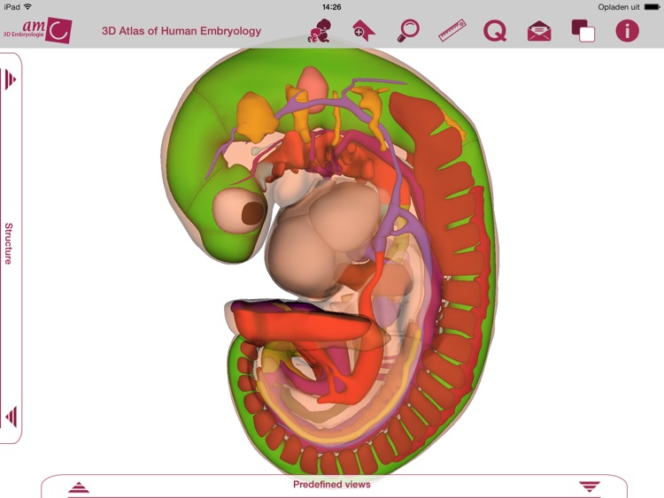 3D Atlas of Human Embryology - Lite