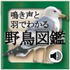 鳴き声と羽でわかる野鳥図鑑