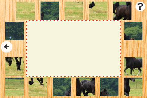 A Ponies Puzzle for Kids and Horse-s Man & Girl-s - Free Interactive Learn-ing Game-s screenshot 3