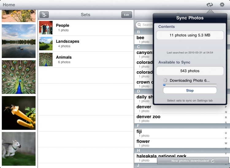 Photo Pad: Flickr - Sync Photos screenshot-3