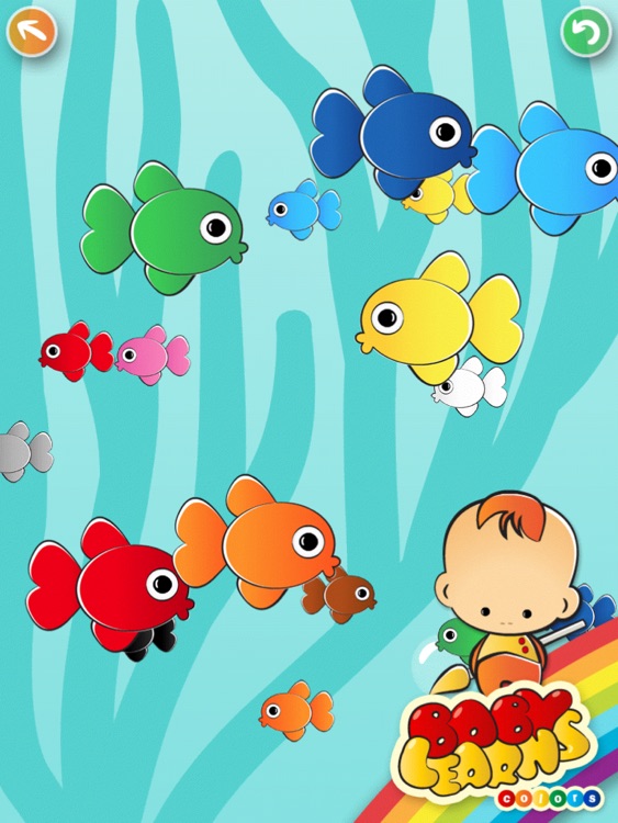 Baby Learns Colors