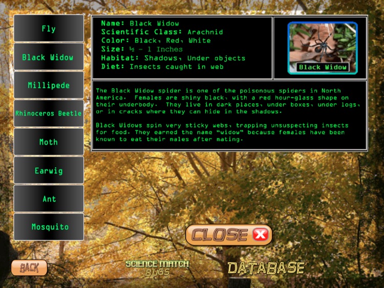 Science Match Bugs screenshot-4