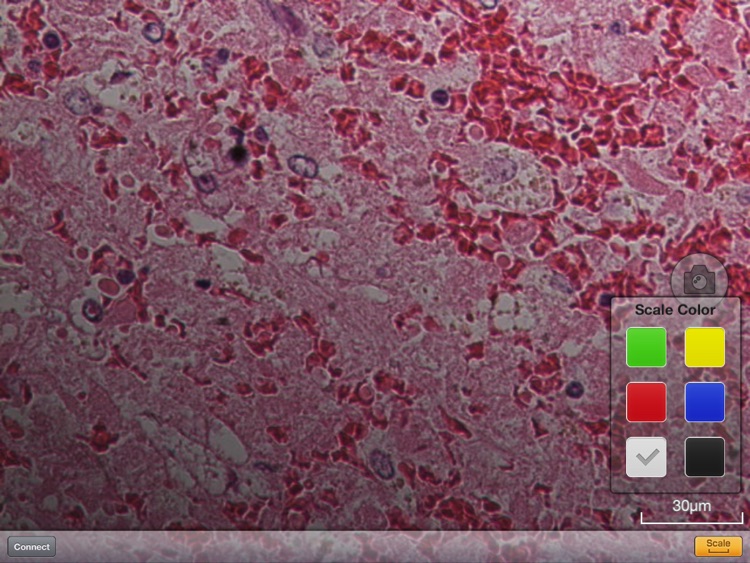 DS-L3 Viewer
