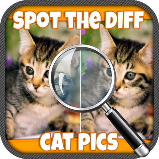 Spot The Diff Cat Pics iOS App