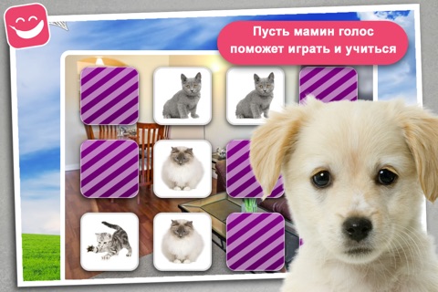 Memo Game Pets Photo for kids young childrens toddler screenshot 4