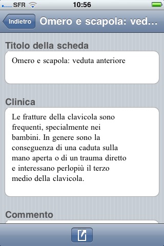 Netter Flashcards Arti Superiori LITE screenshot 4