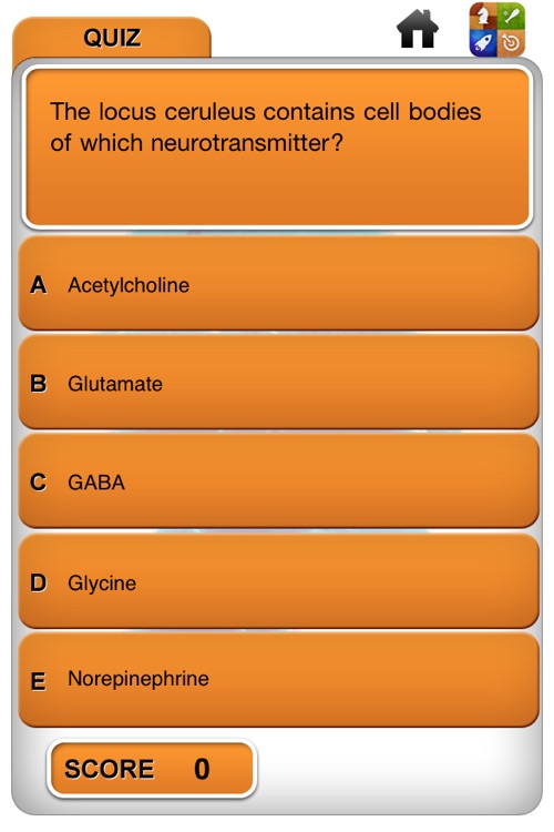 Neurology and RITE questions Lite