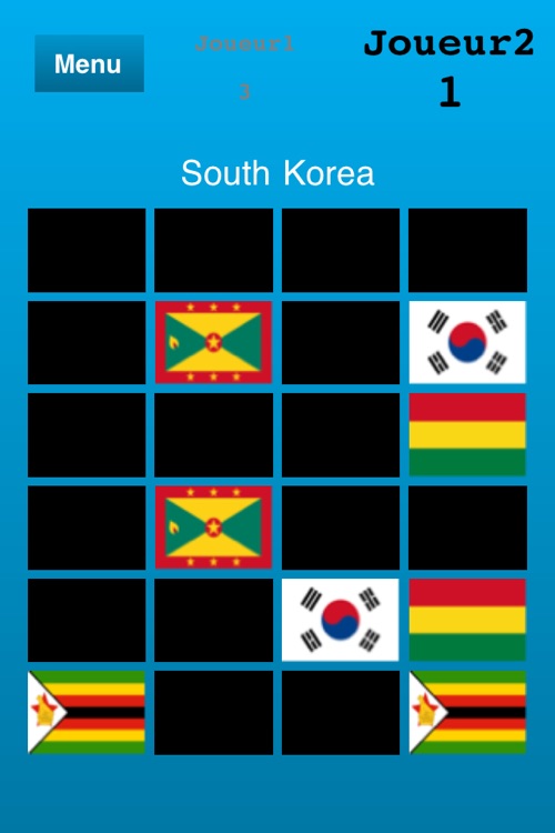 Flags Matching