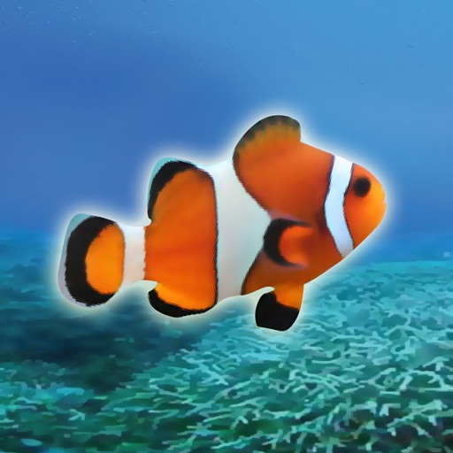 Clownfish Tap Icon