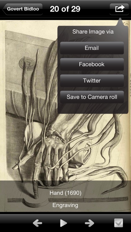 Drawings: Anatomy Masters screenshot-3