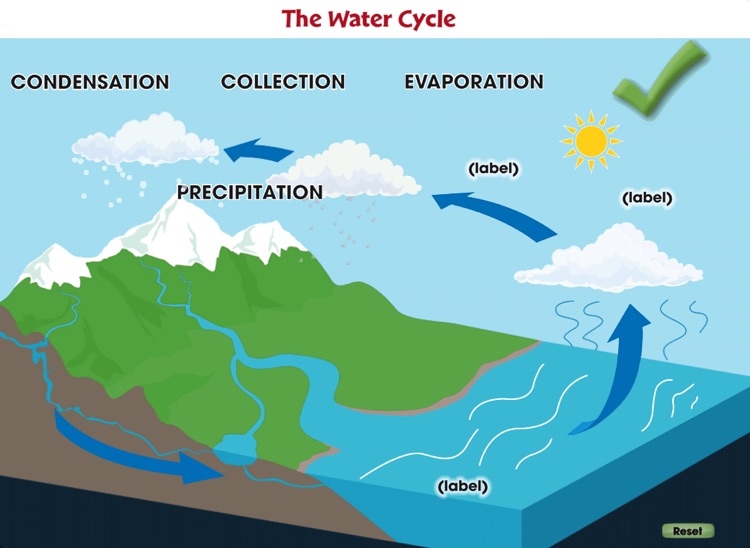 The Water Cycle by Classroom Complete Press Ltd.