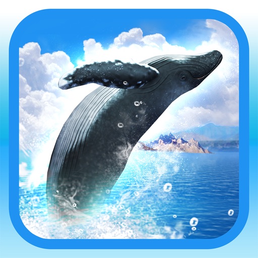 REAL WHALES  Find the cetacean! icon