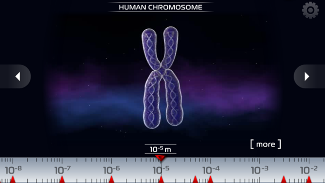 科學 - 小宇宙3D Free：細菌，病毒，原子，分子和粒子(圖2)-速報App