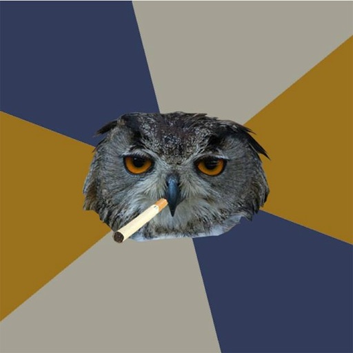 Art Student Owl icon