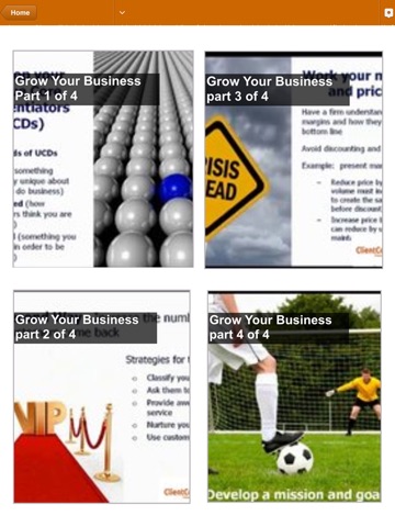 Shape Your Business HD screenshot 4