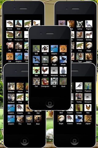 80 Animal Sounds in 1 App! screenshot 2