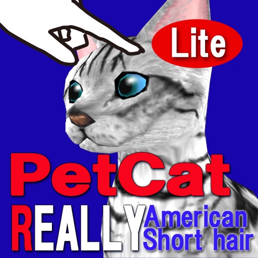 American Shorthair 3DREAL Petting Cat lite Icon