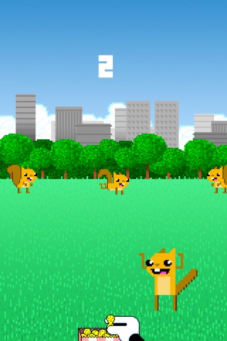 Squirrel Nuts screenshot 2