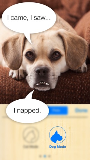 Talkify Pets(圖4)-速報App