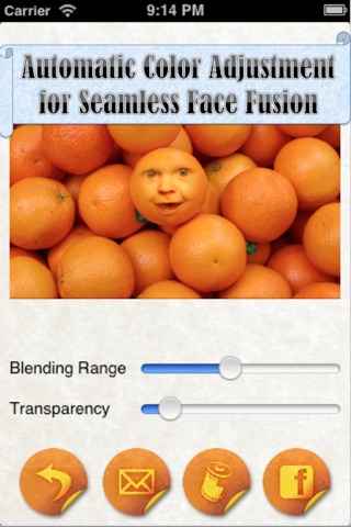 DJ's FaceSticker Free screenshot 3