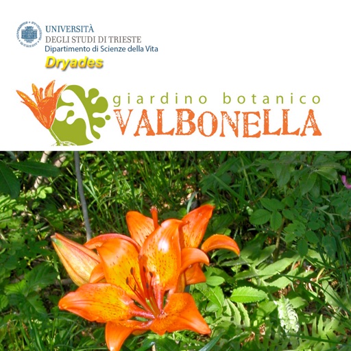 Guida alle piante del Giardino Botanico di Valbonella