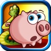 A Piggy Farm Crossing Dash & Grab Big Pig Game Pro