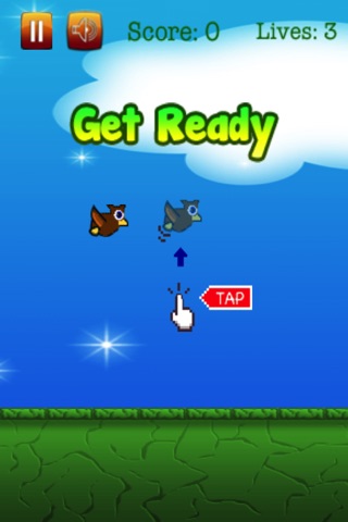 Flappy Owl + screenshot 2