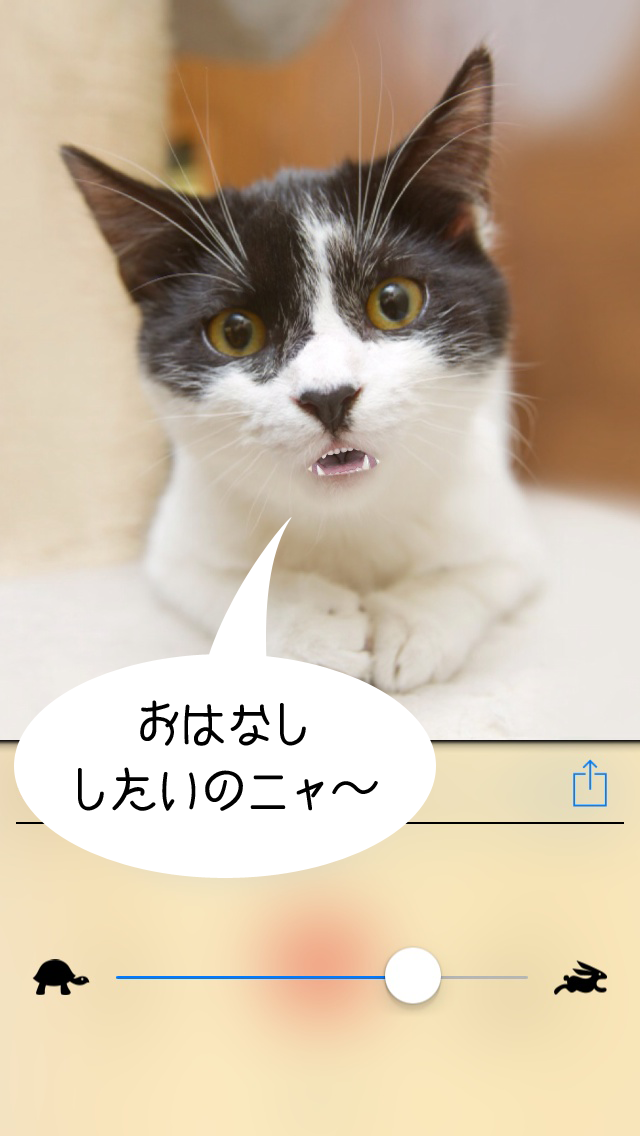 おしゃべりどうぶつ3d Iphoneアプリ Applion